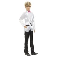 Barbie Ken ženich - Doll