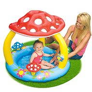  Pool Toadstool  - Inflatable Pool