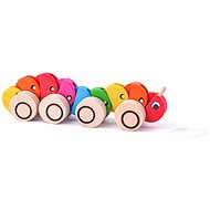  Wooden Pull-along centipede  - Push and Pull Toy