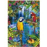 Parrots in the jungle - Jigsaw