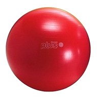 Ledraplastic GYMNIC CLASSIC PLUS 55 - Gym Ball