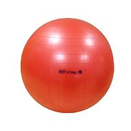 Ledraplastic GYMNIC 55 - Gym Ball