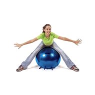 Ledraplastic SIT'n'GYM 65 - Gym Ball