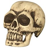 GUIRCA skull 32 cm - Decoration