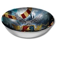 GUIRCA Plastic bowl wizard - wizard harry - 27 cm - Decoration
