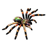  X-ray 02097 - Tarantula  - Anatomy Model