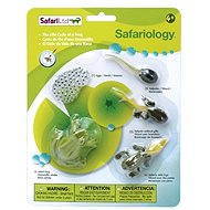 Safari Ltd. Životní cyklus - Žába - Anatomický model