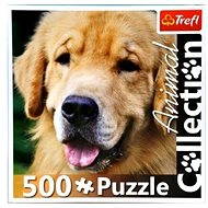 Golden retriever - Jigsaw Puzzle