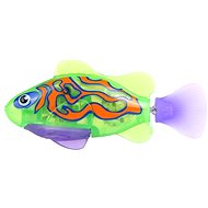  Tropical roboryba - Mandarin  - Figure