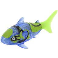  Tropical roboryba - sharks  - Figure