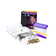 EIN-O - Amazing Crystals - Creative Kit