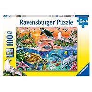 Ravens Bunte Ozean - Puzzle