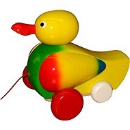 Push and Pull Duck - Push and Pull Toy