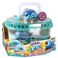 Little Live Pets - Schildkröte mit Tank - Interaktives Spielzeug