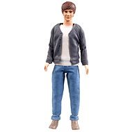 One Direction - Liam Payne - Figure