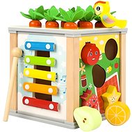 Kruzzel 22566 Insertable wooden educational cube 5in1 - Puzzle