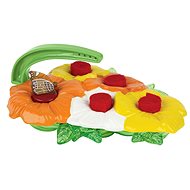 Insect Lore Butterfly Feeder - Insect Catcher