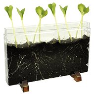 Eduplay Growing box - Creative Kit