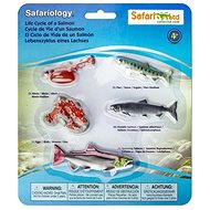 Safari Life Cycle - Salmon - Didactic Toy