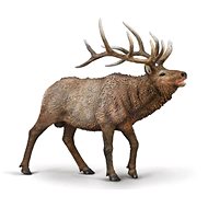 Collecta Deer Wapiti - Figure