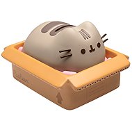 Pusheen: Cat in box - Piggy Bank