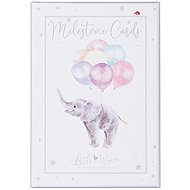 Wrendale Designs Milestone Cards 24 pcs My First Year - Gift Set