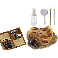 LEAN Toys 14061 Educational Set Excavation Dinosaur Triceratops - Experiment Kit