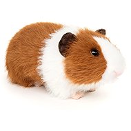 Lamps Plush guinea pig 21 cm - Soft Toy