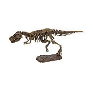 Alltoys Tyranosaurus 3D Archaeological Set - Thematic Toy Set