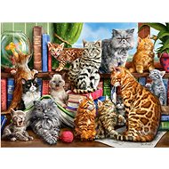 Castorland Cat House Puzzle 2000 pieces - Jigsaw Puzzle