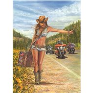 Anatolian Puzzle American Gypsy 1000 pieces - Jigsaw Puzzle