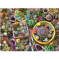 Anatolian Puzzle Cactus pots 1000 pieces - Jigsaw Puzzle