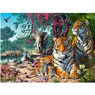 Castorland Tiger Sanctuary Puzzle 3000 pieces - Jigsaw Puzzle