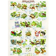 Eurographics Frogs and Toads Puzzle 1000 pieces - Jigsaw Puzzle