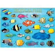 Eurographics Tropical Fish Puzzle 1000 pieces - Jigsaw Puzzle