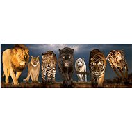 Eurographics Panoramic Puzzle Big Cats 1000 pieces - Jigsaw Puzzle