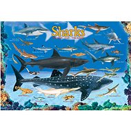 Eurographics Puzzle Sharks 100 pieces - Jigsaw Puzzle