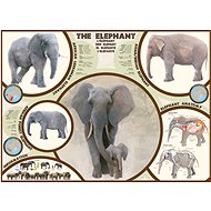 Eurographics Puzzle Elephant 1000 pieces - Jigsaw Puzzle