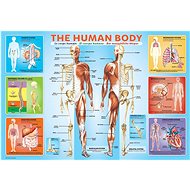 Eurographics Human Body Puzzle 200 pieces - Jigsaw Puzzle