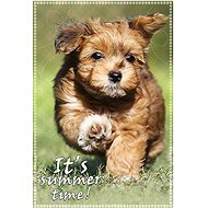 Trefl Summer Fun Puzzle 100 pieces - Jigsaw Puzzle