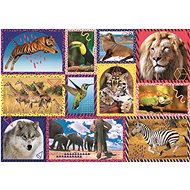 Trefl Puzzle Animal Planet: Wildlife 1000 pieces - Jigsaw Puzzle