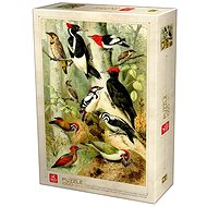 Deico Puzzle Encyclopedia Birds 1000 pieces - Jigsaw Puzzle