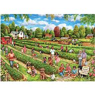 Falcon Puzzle Strawberry Picking 1000 pieces - Jigsaw Puzzle