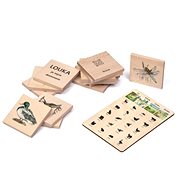 Where is my home? - Didactic Toy