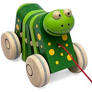 Ulanik Frog on a string flapper - Push and Pull Toy
