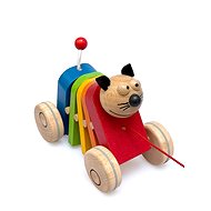 Ulanik Rainbow cat on a string - Push and Pull Toy