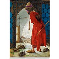 Star Puzzle Turtle Trainer 1000 pieces - Jigsaw Puzzle