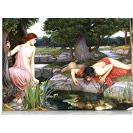 Star Puzzle Echo and Daffodil 2000 pieces - Jigsaw Puzzle