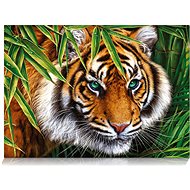Star Puzzle Tiger View 500 pieces - Jigsaw Puzzle