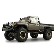 Amewi RC car AMX Rock RCX8P 1:8 grey - Remote Control Car